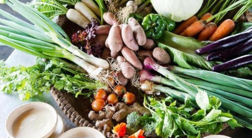 Hananoie - A Permaculture Resort Pokhara Eksteriør bilde