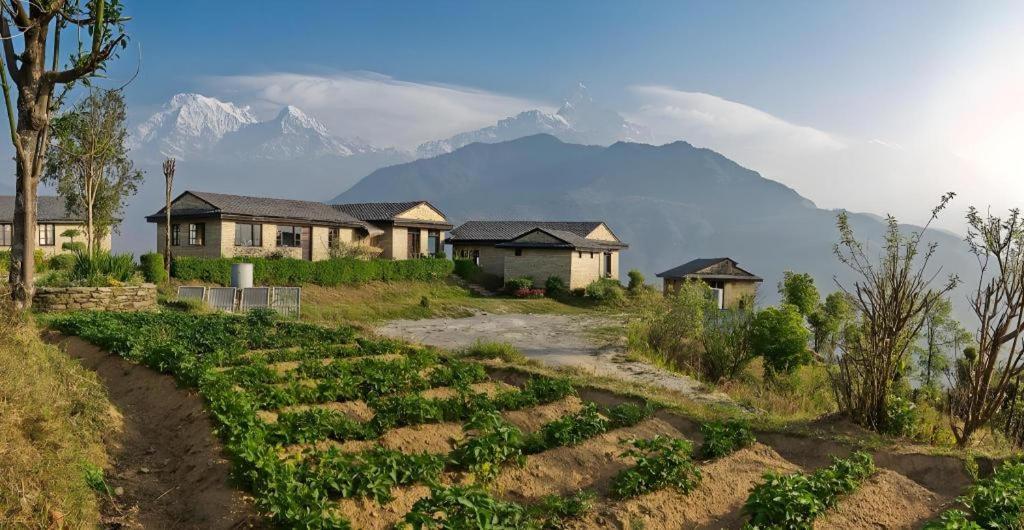 Hananoie - A Permaculture Resort Pokhara Eksteriør bilde