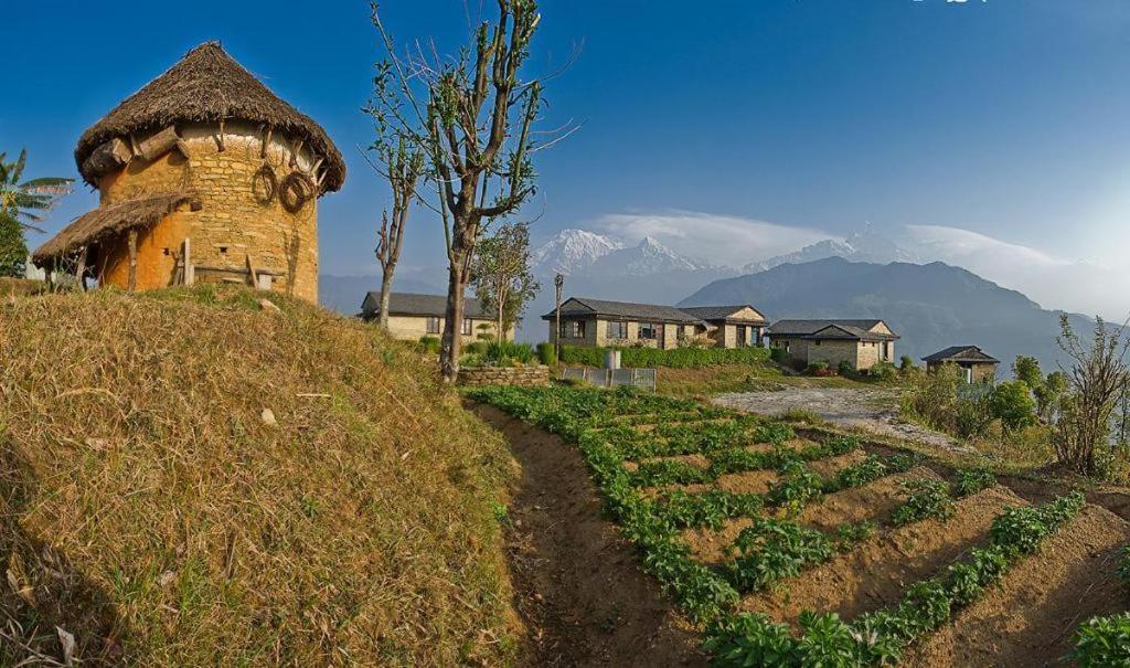 Hananoie - A Permaculture Resort Pokhara Eksteriør bilde
